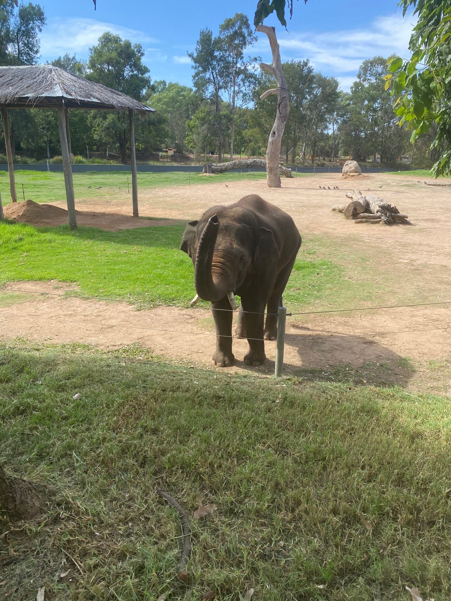 Dubbo Zoo 2025 Image -67de04b9c55b6